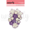 UC Dusty Purple Flowers