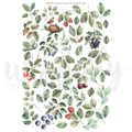 UC Botanical Chronicles Cut-a-Part Sheet