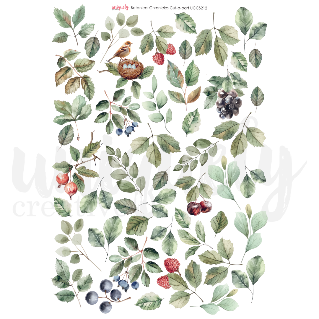 UC Botanical Chronicles Cut-a-Part Sheet